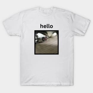 Funny Husky Dog Face Simple Hello T-Shirt